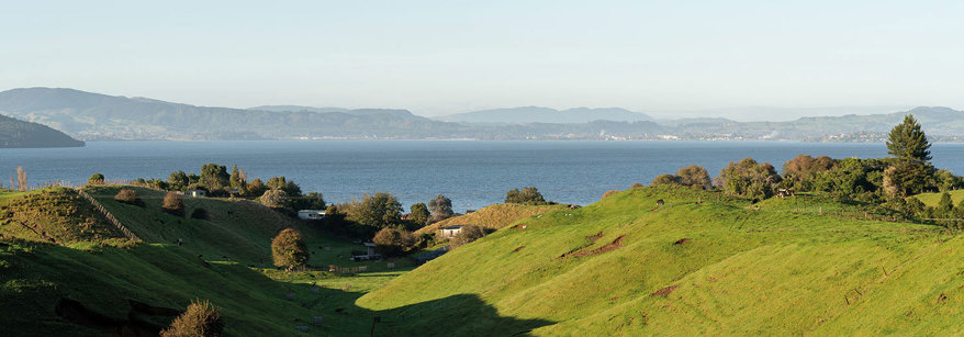rotorua view