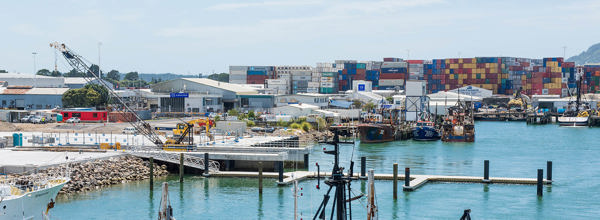 Port of Tauranga regional development