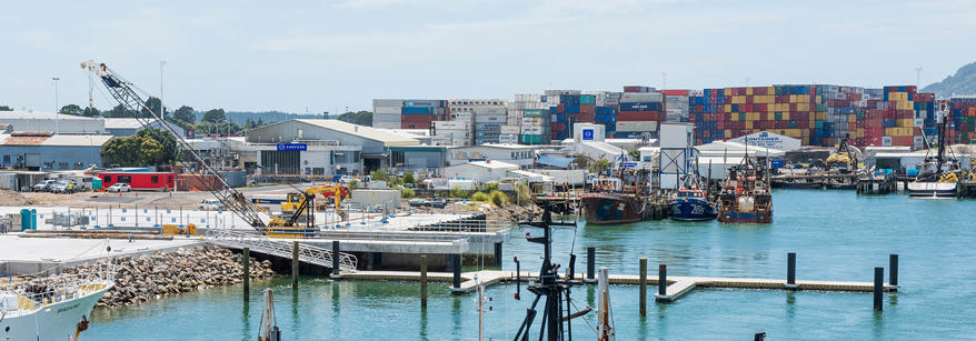 Port of Tauranga regional development