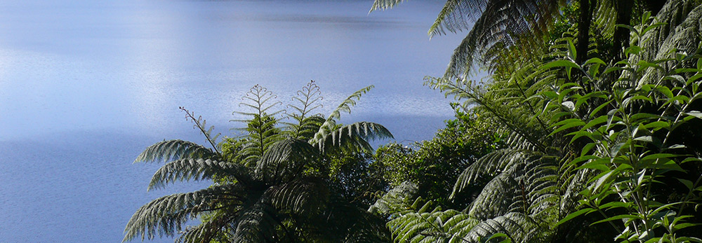 Lake Rotoma