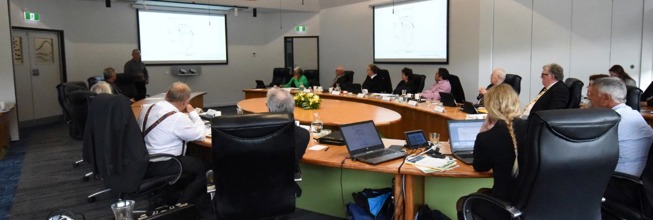 Council meeting