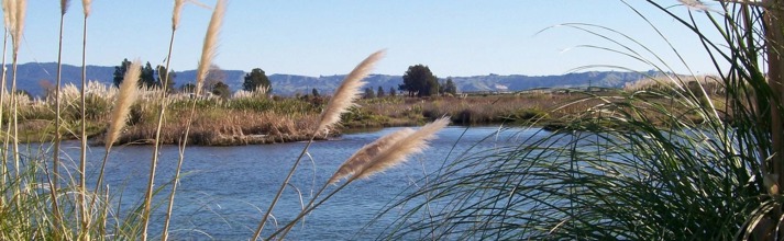 Kaituna Maketu