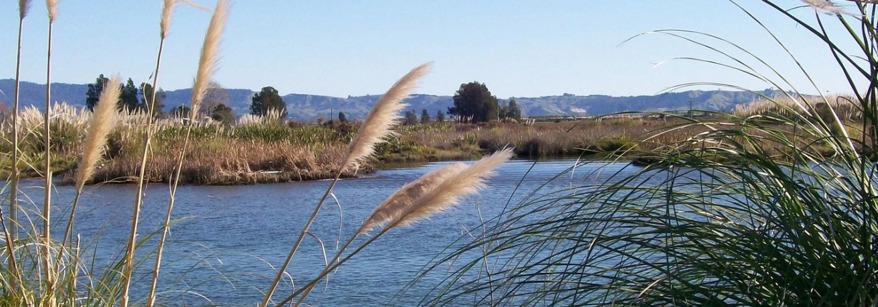 Kaituna Maketu