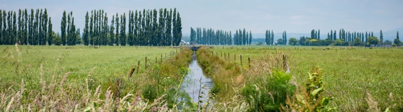 Pongakawa Stream