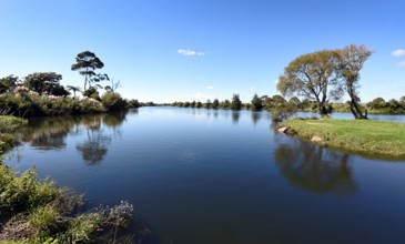 kaituna river