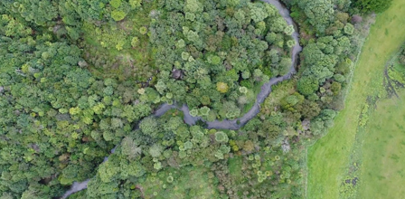 Awahou Stream