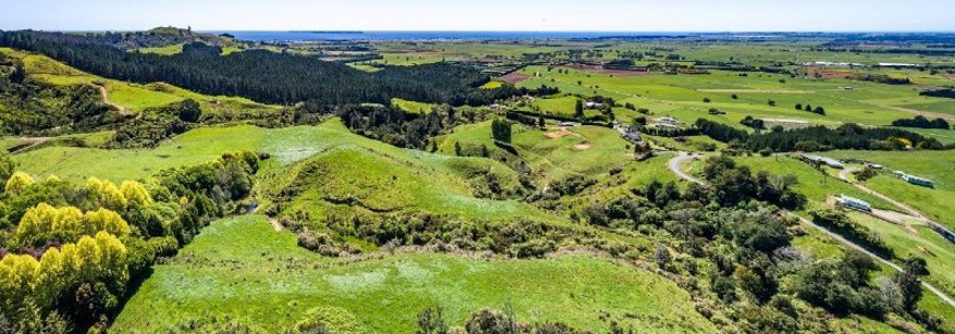 Kopuaroa Catchment in the BOP