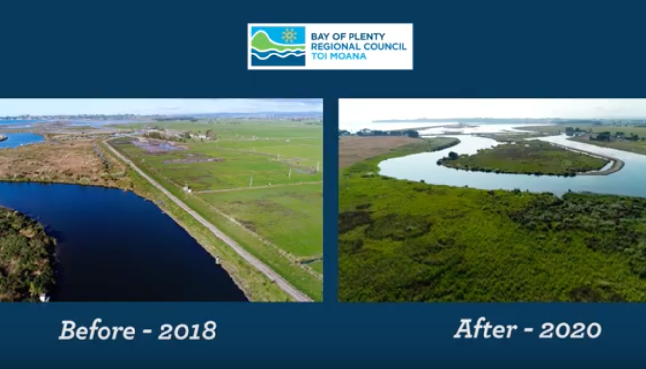 Kaituna River re-diversion before and after comparison