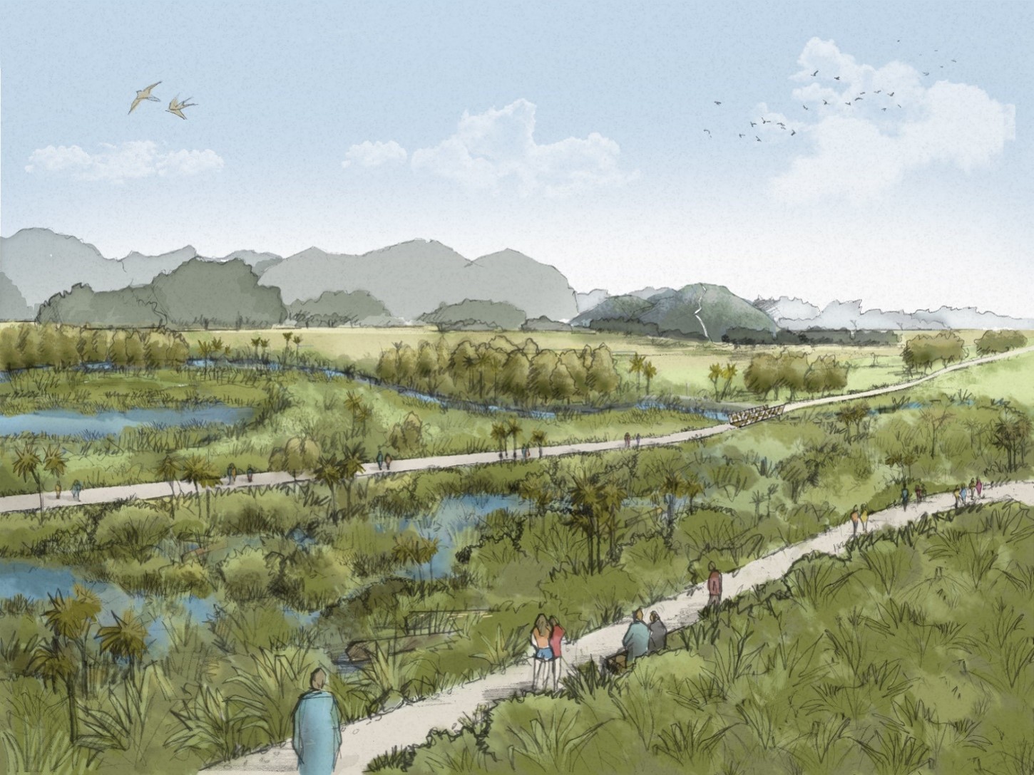 Wetland restoration Koperererua 