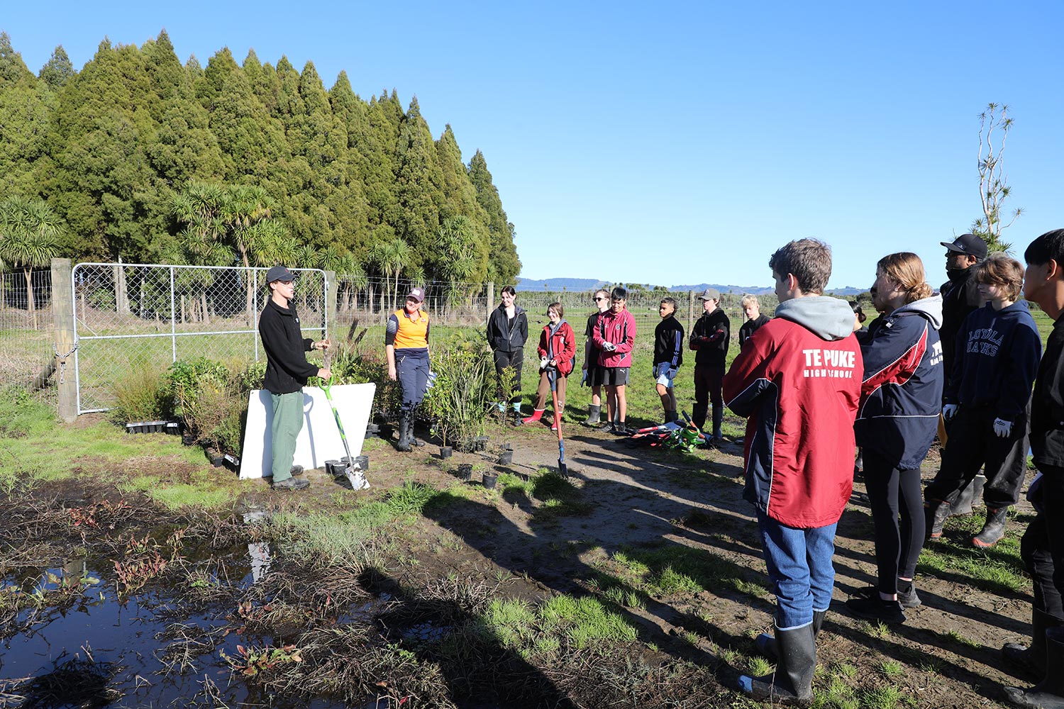 Volunteers from Te Puke High School help restore wetland