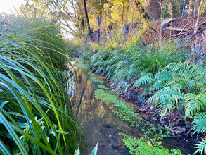 stream restoration