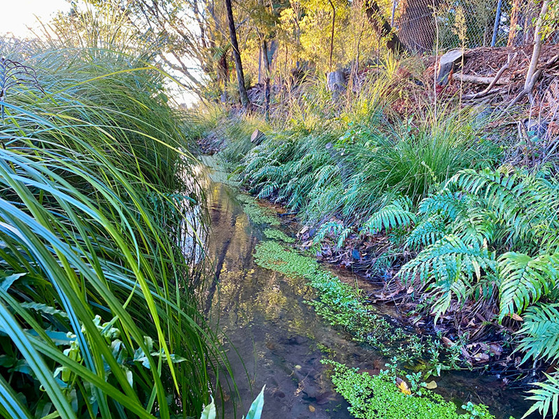 stream