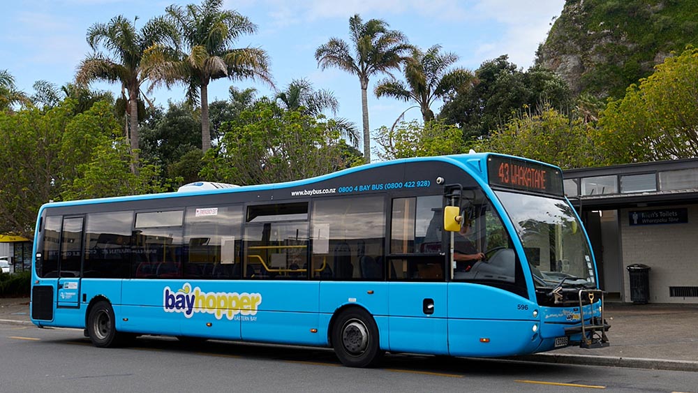 bus