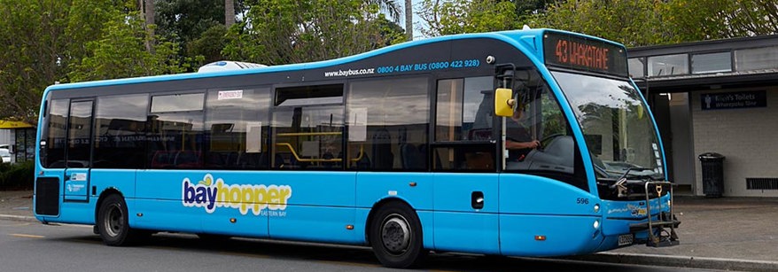 bus