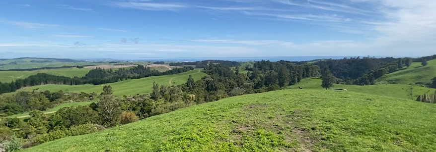 Mountfort farm