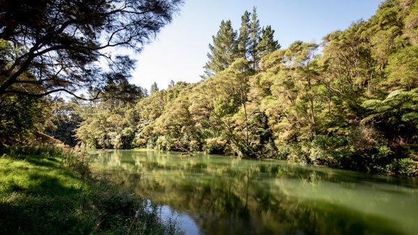 Kaituna River