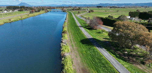 Lower Rangitāiki River stopbank